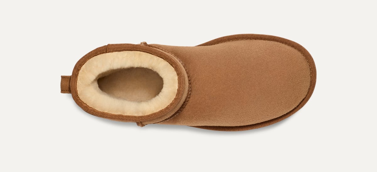 Botas Classic Mini Hombre