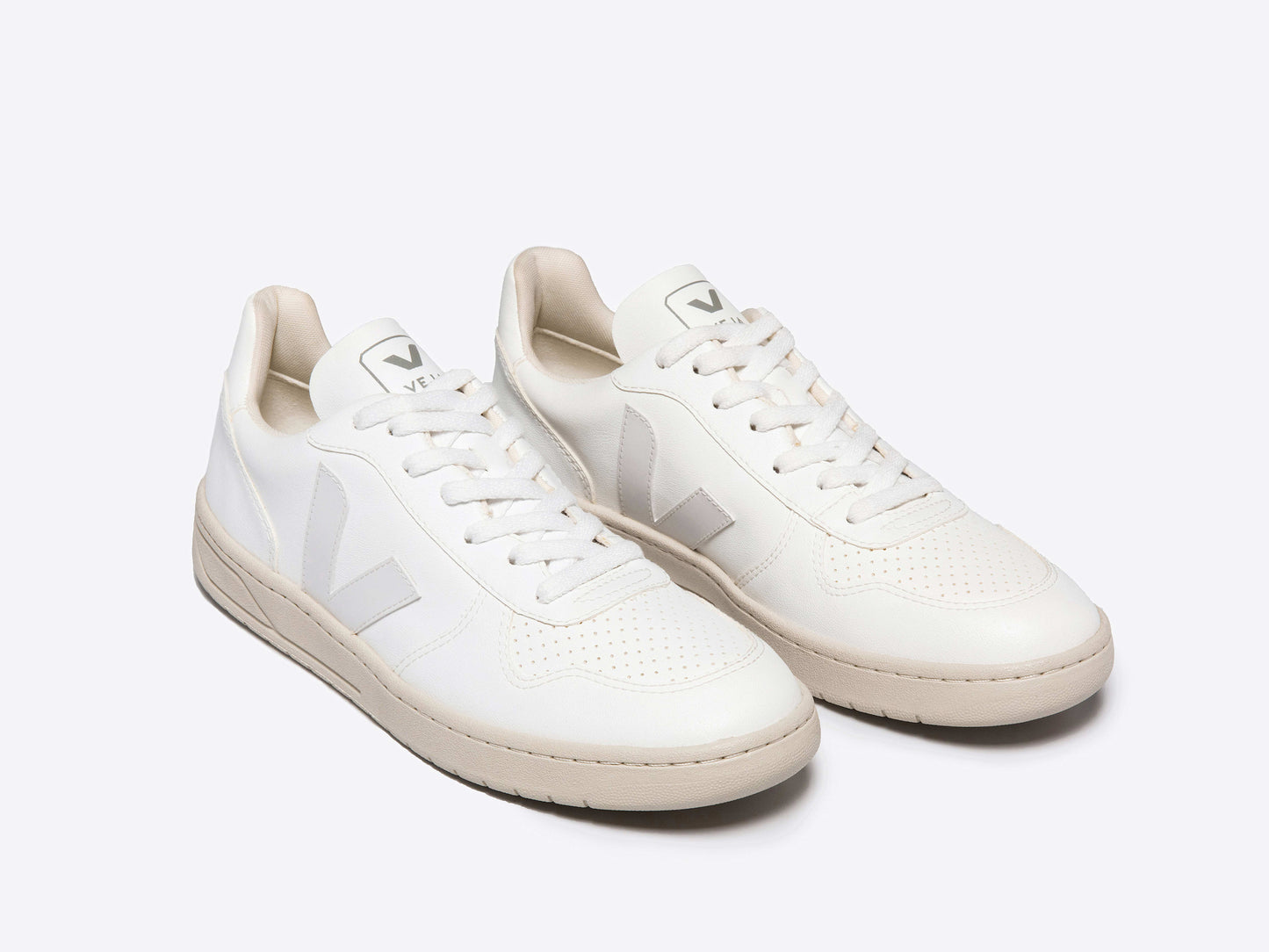 Zapatillas V-10